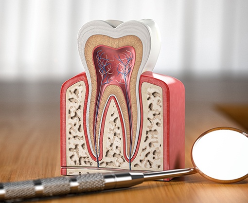 Model of anatomy of tooth next to dental mirror